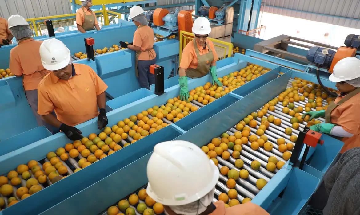exportacao-de-produtos-atingidos-por-tarifaco-cai-22%-em-agosto exportacao-de-produtos-atingidos-por-tarifaco-cai-22%-em-agosto
