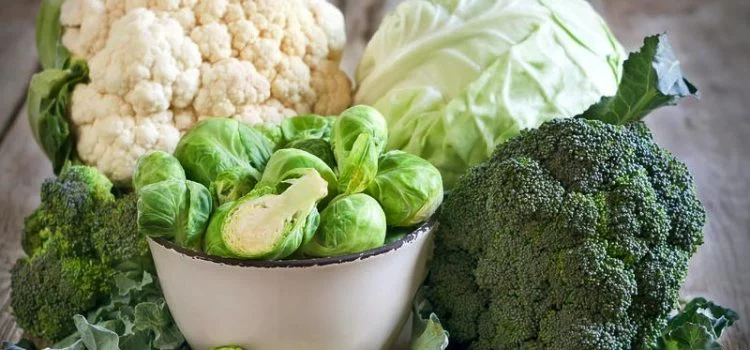 conheca-os-vegetais-que-podem-ajudar-na-regulacao-dos-niveis-de-acucar-no-sangue conheca-os-vegetais-que-podem-ajudar-na-regulacao-dos-niveis-de-acucar-no-sangue