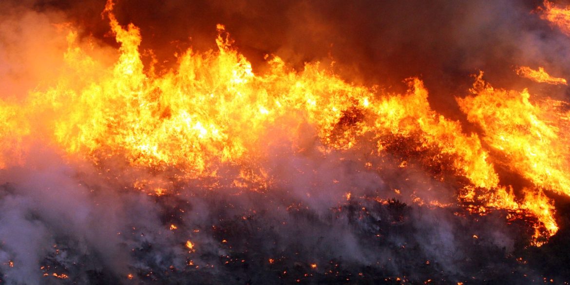 quatro-equipes-de-brigadistas-combatem-incendio-em-cavalcante-(go) quatro-equipes-de-brigadistas-combatem-incendio-em-cavalcante-(go)