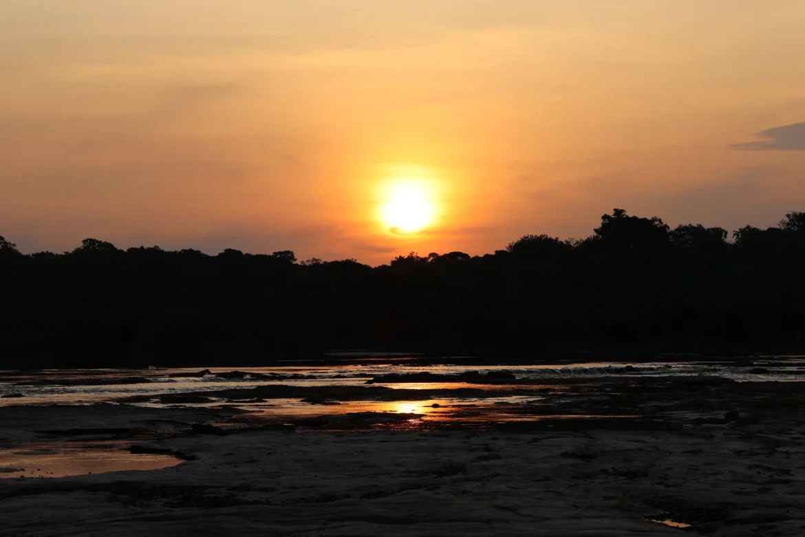 amazonia-enfrenta-escalada-inedita-de-temperaturas-extremas-em-areas-preservadas amazonia-enfrenta-escalada-inedita-de-temperaturas-extremas-em-areas-preservadas