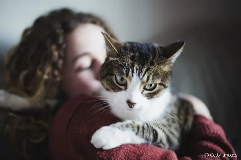 o-que-ter-um-gato-faz-com-o-seu-cerebro-–-e-com-o-dele o-que-ter-um-gato-faz-com-o-seu-cerebro-–-e-com-o-dele