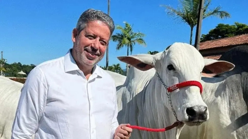 lira-junta-elite-da-pecuaria-do-nordeste-em-leilao-de-gado-e-fatura-r$-4-mi lira-junta-elite-da-pecuaria-do-nordeste-em-leilao-de-gado-e-fatura-r$-4-mi