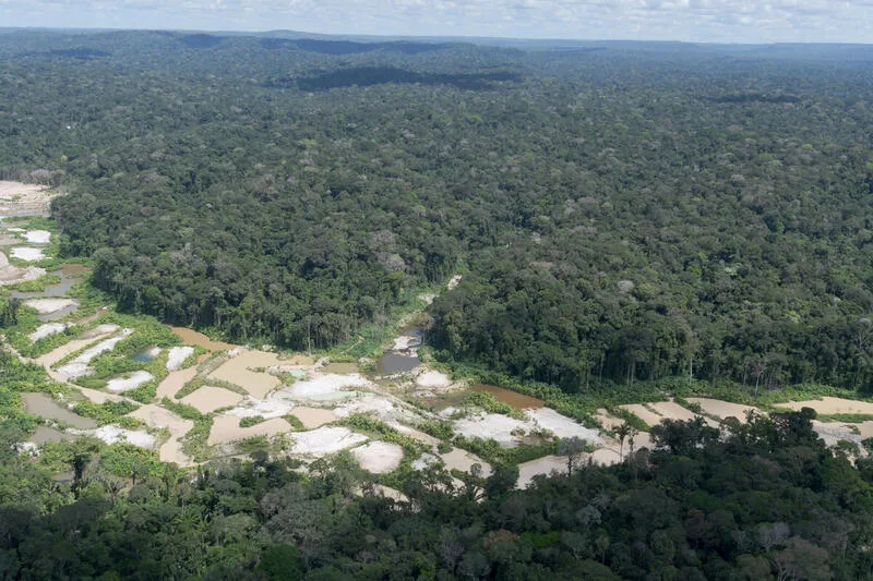 menos-de-tres-meses-apos-retirada-de-garimpeiros,-desmatamento-volta-a-ameacar-ti-munduruku menos-de-tres-meses-apos-retirada-de-garimpeiros,-desmatamento-volta-a-ameacar-ti-munduruku