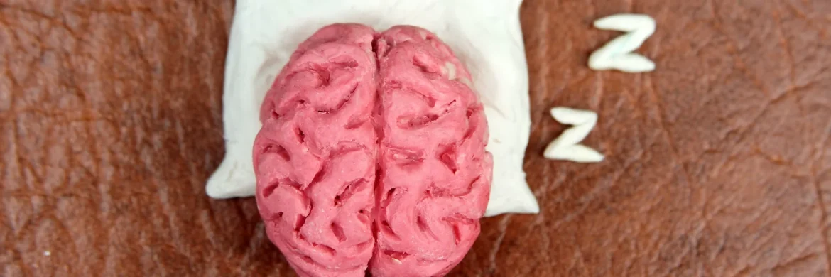 dormir-mal-pode-fazer-seu-cerebro-envelhecer-mais-rapido,-mostra-novo-estudo dormir-mal-pode-fazer-seu-cerebro-envelhecer-mais-rapido,-mostra-novo-estudo