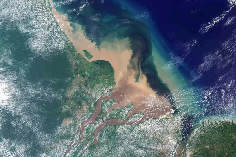maioria-quer-que-lula-proiba-exploracao-de-petroleo-na-foz-do-amazonas,-diz-datafolha maioria-quer-que-lula-proiba-exploracao-de-petroleo-na-foz-do-amazonas,-diz-datafolha