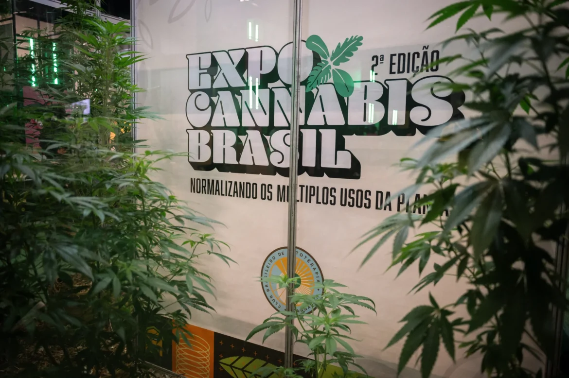 expocannabis amplia-debates-sobre-regulacao-e-sustentabilidade-no-brasil expocannabis amplia-debates-sobre-regulacao-e-sustentabilidade-no-brasil