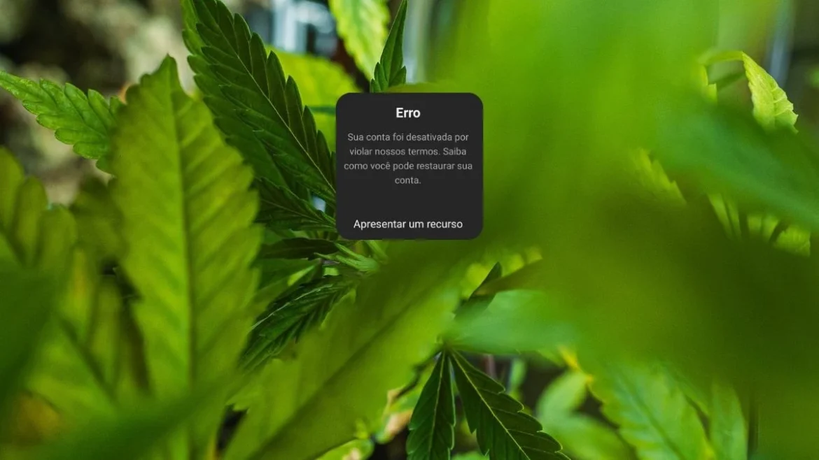 meta-suspende-perfis-de-cannabis-do-instagram-sem-justificativa meta-suspende-perfis-de-cannabis-do-instagram-sem-justificativa