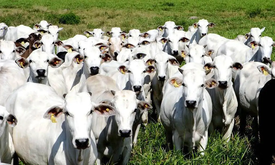 ajuda-bilionaria-a-produtores-busca-acalmar-base-rural-de-trump-nos-eua ajuda-bilionaria-a-produtores-busca-acalmar-base-rural-de-trump-nos-eua