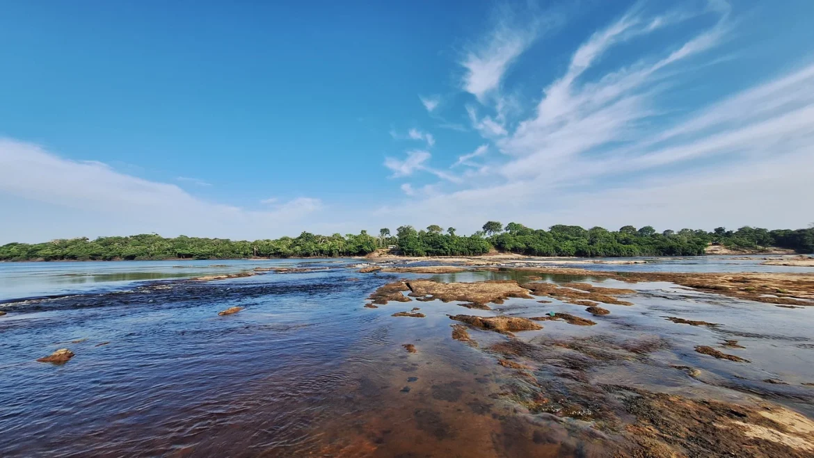 amazonia-e-cerrado-registram-queda-de-11%-no-desmatamento amazonia-e-cerrado-registram-queda-de-11%-no-desmatamento